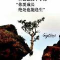 王环保