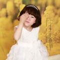 爱吃香菜lal