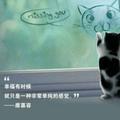 就是娜么拽