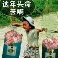 @愛你是誰錯%@