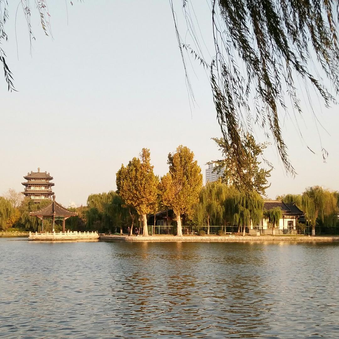 人在囧途_241723732