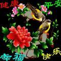 爱 《与世无争》