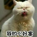 可靠的洛溪