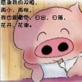 悟$头像