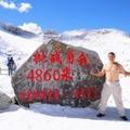 森林退休旅游团队