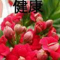 艳子_868627