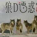 世纪梦幻