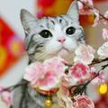 841977487头像