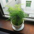 王者风范