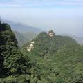 奇_251659724