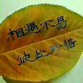 心想事成9227464039665