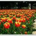 开心每一天