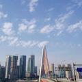飞扬_244806154