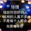 春天里3513