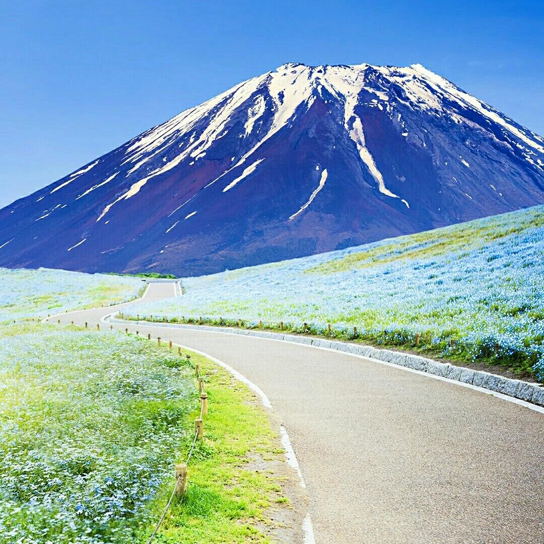 上网只为等你535