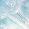 点🧚‍♀️点姥姥_20538