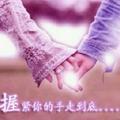文武丽柔，蝶恋花
