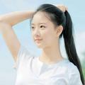 花开富贵2203976916607
