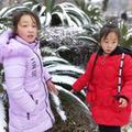 雪丽