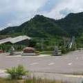 专业回收方木模板