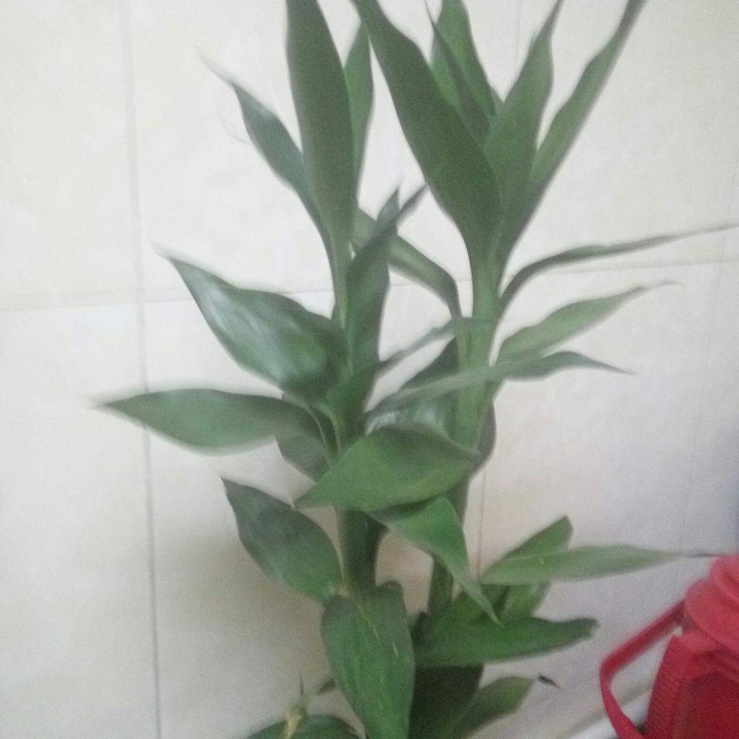 手机用户8039577420