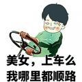 厉害了我的哥VIP