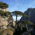 黎明的太阳