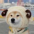 忌