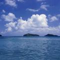 。海
