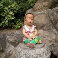 子歌