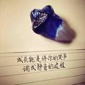 小熊熊