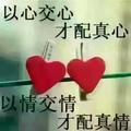 沉默87007