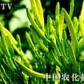 爱我中华