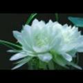 遥远天际