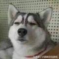 请原谅我脑子不好🤯