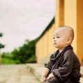山东爷们