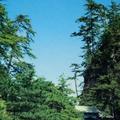 skyblue_206725619