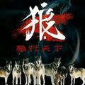 潇洒人生