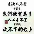 清雅如兰_22509