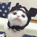 佛说你颜特别浪颜玖