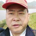 杨树温存贵根深远头像