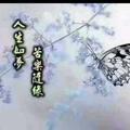 酸甜苦辣_37743