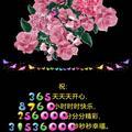 泡沫之夏32865