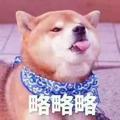 呗儿爽 小破孩