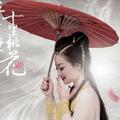 绽放的玫瑰4978
