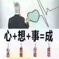 心想事成seim