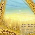 李记鸭头