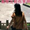 栋栋_228377410