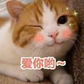 小希。