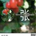 远
